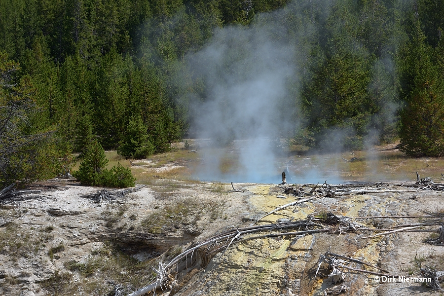 Aftershock Geyser, Satellite Geyser and Seismic Geyser Yellowstone