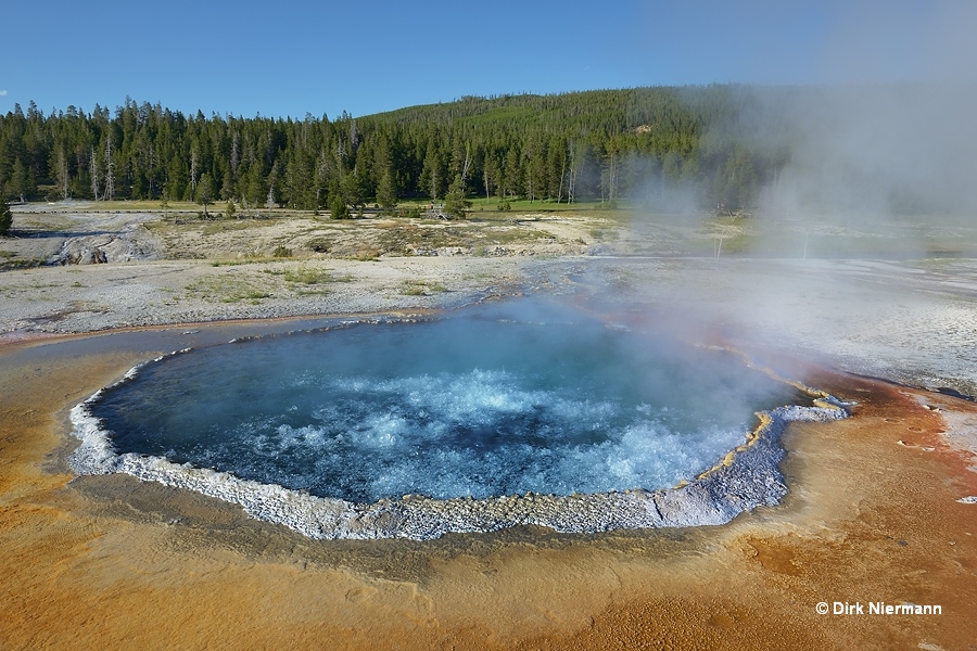 Crested Pool