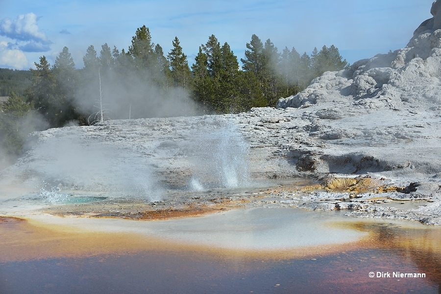 Gizmo Geyser Yellowstone