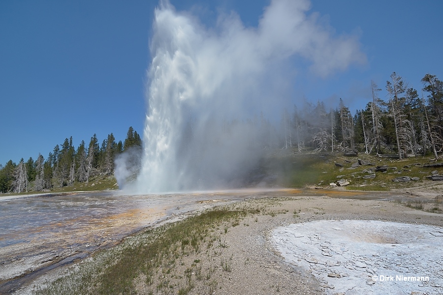 Grand Geyser Yellowstone