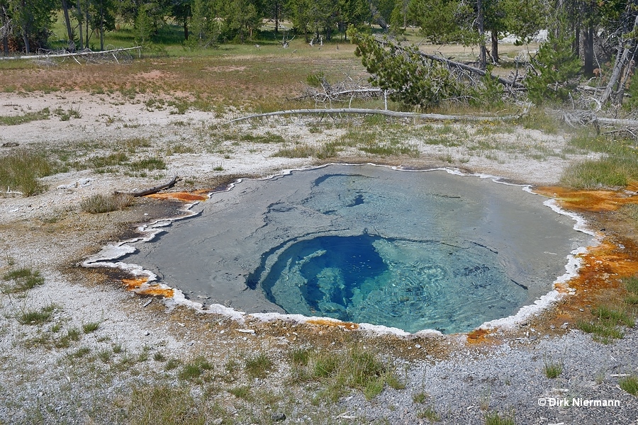 Shield Spring Yellowstone