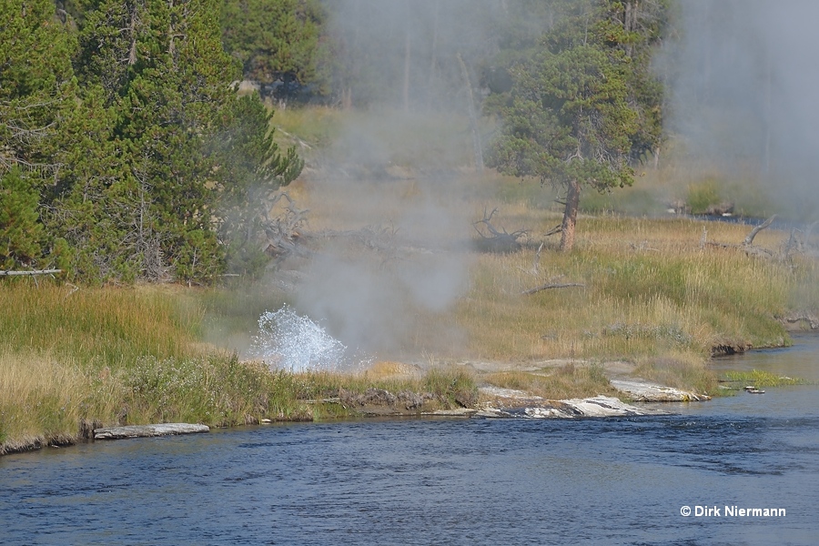 Spanker Geyser Yellowstone