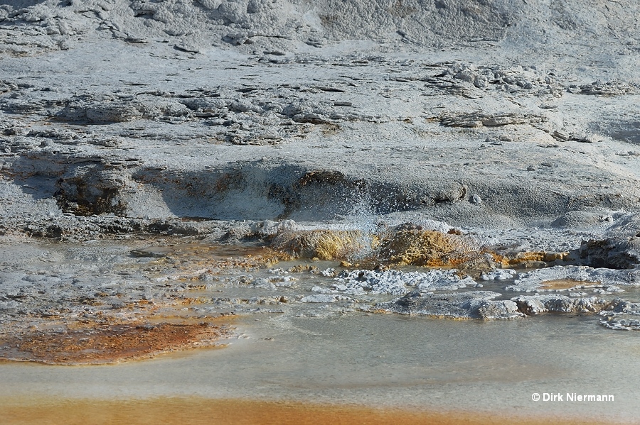 Spouter Yellowstone