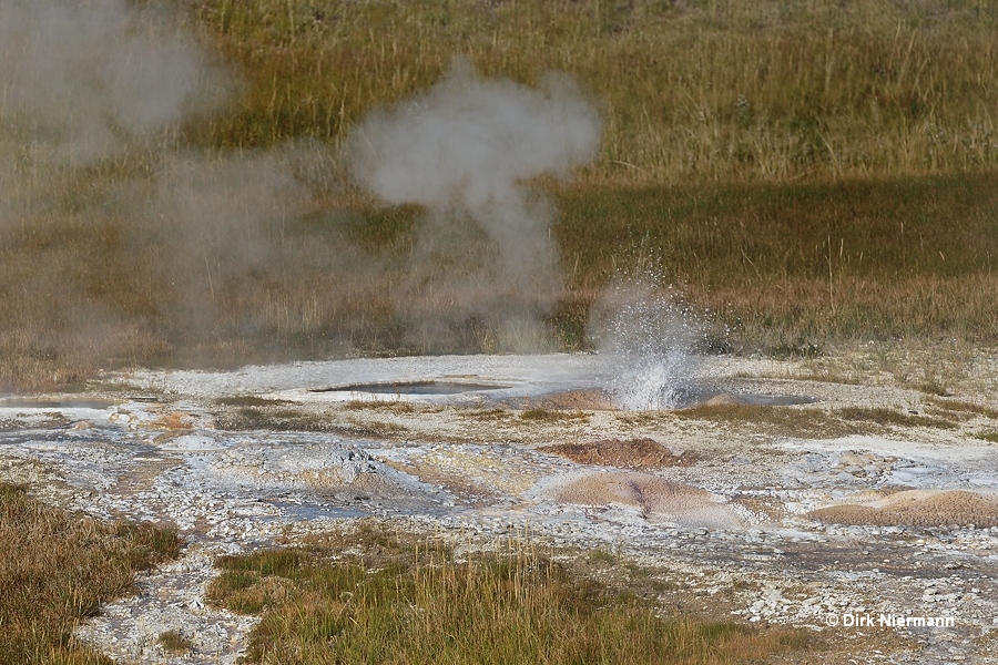 Terra Cotta Geyser B, Dishpan Spring, Yellowstone