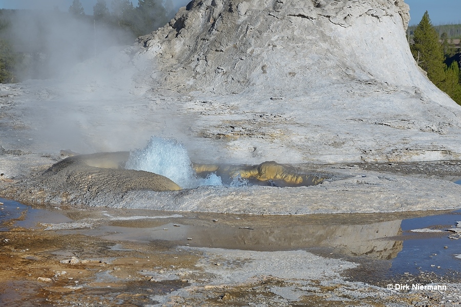 Tortoise Shell Spring Yellowstone