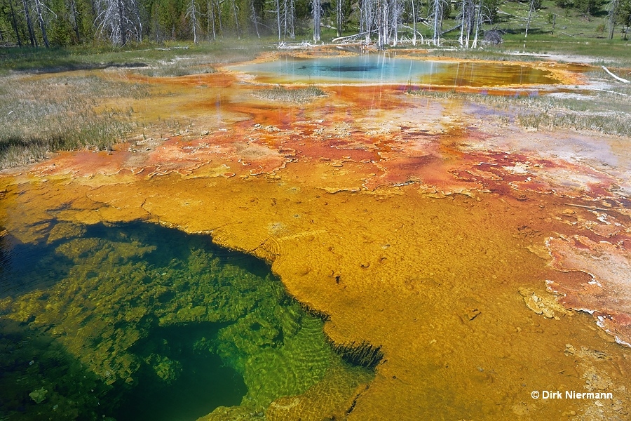 Culvert Geyser, Chain Lakes Group, Yellowstone