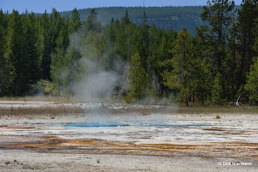 Link Geyser Yellowstone