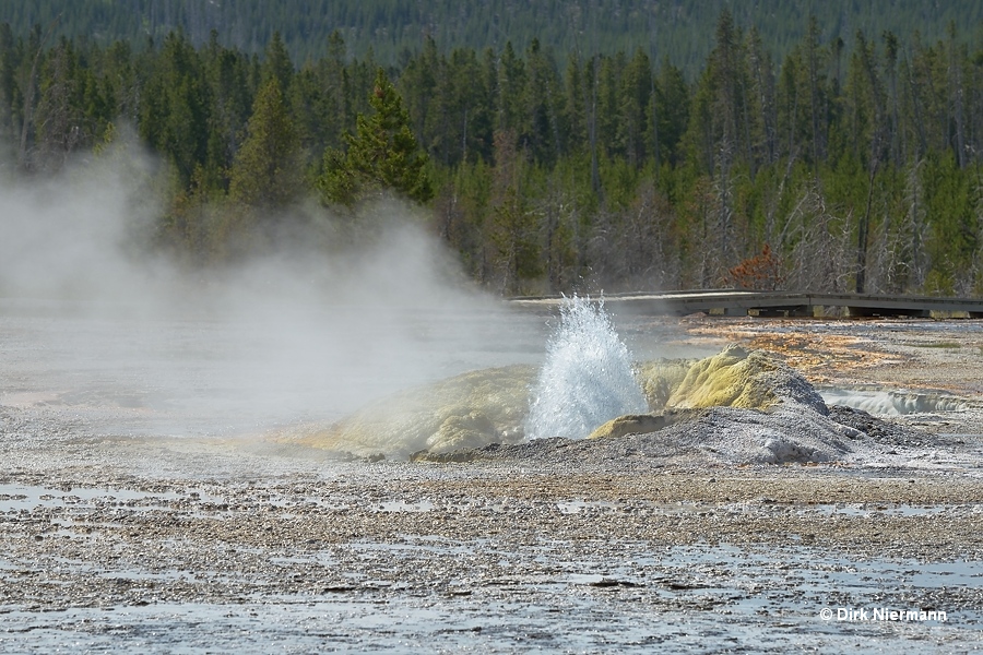 Comet Geyser Yellowstone