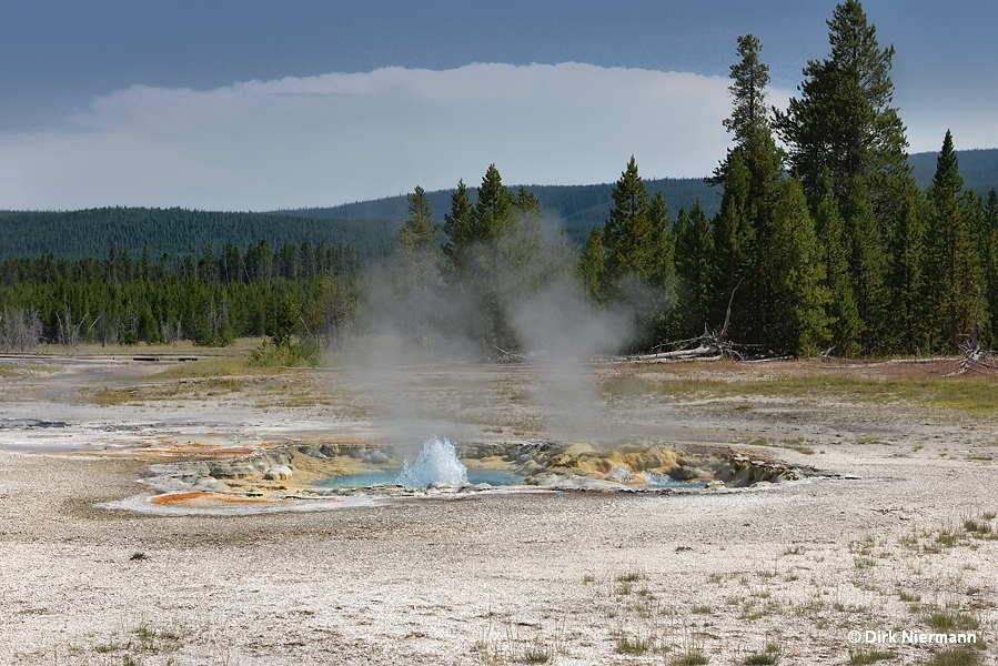 Splendid Geyser Yellowstone