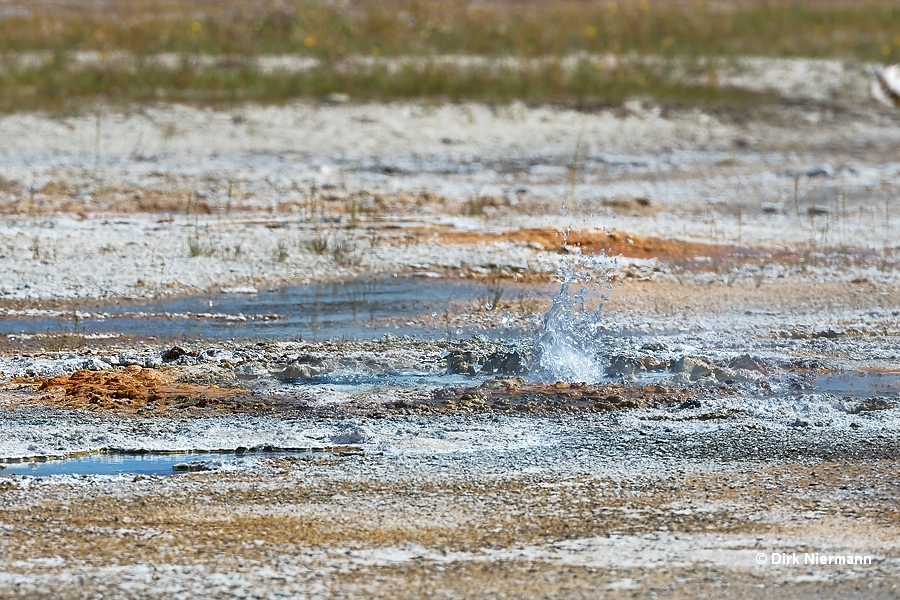 Spouter southeast of Splendid Geyser Yellowstone