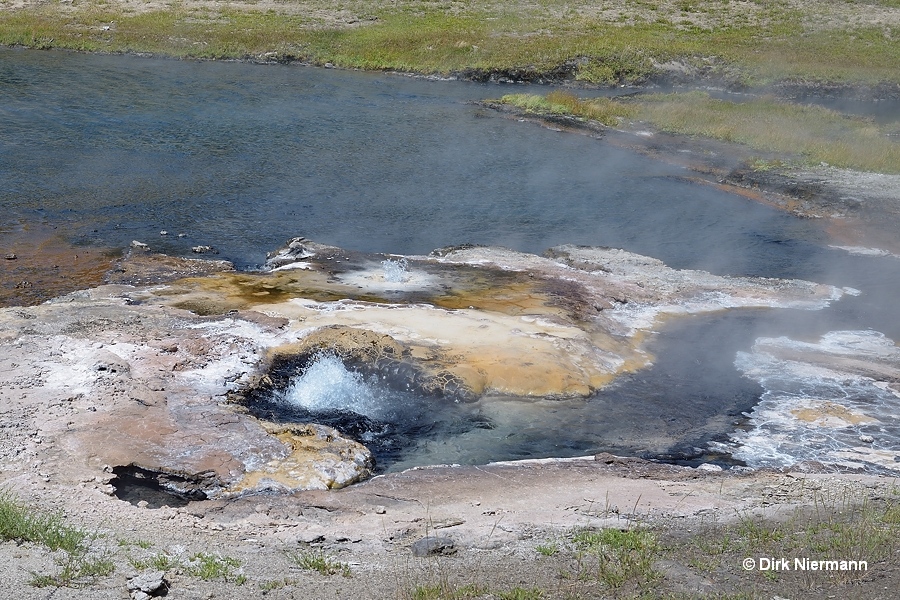 Artesia Geyser Yellowstone