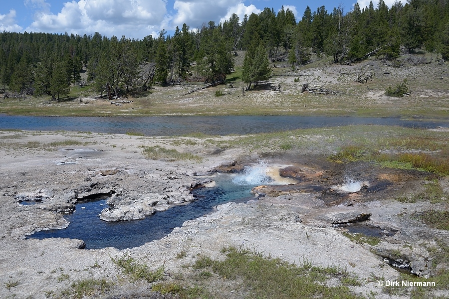 Young Hopeful Geyser Yellowstone