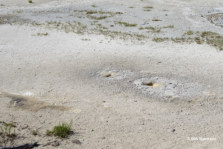 Bearclaw Geyser Yellowstone