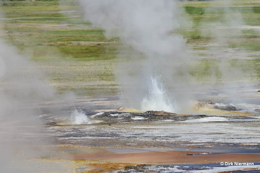 Fitful Geyser and New Bellefontaine Geyser Yellowstone