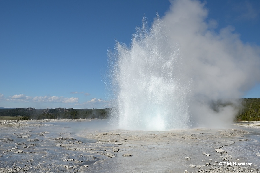 Fountain Geyser Yellowstone