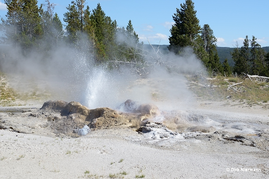 Jet Geyser Yellowstone