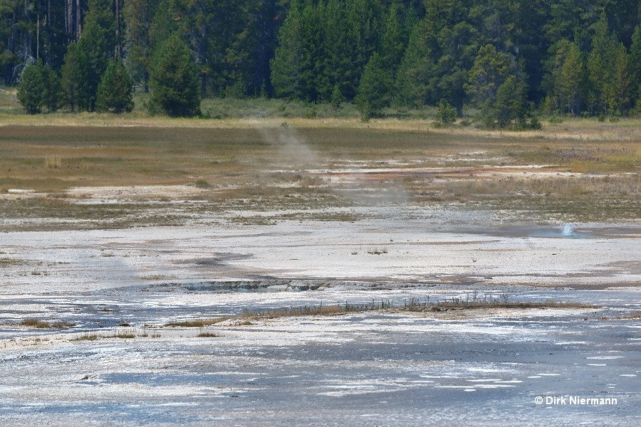 Mask Geyser Yellowstone