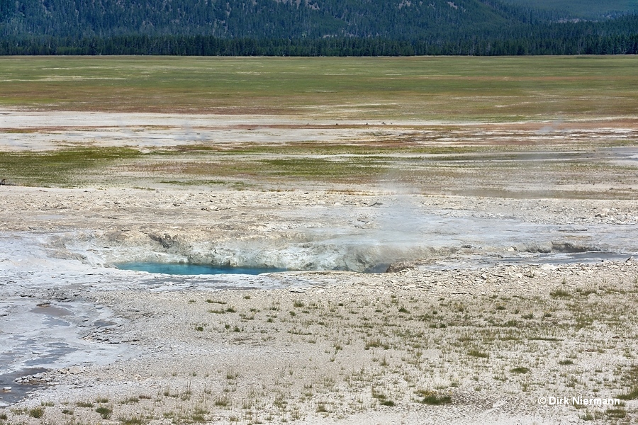 Morning Geyser Yellowstone