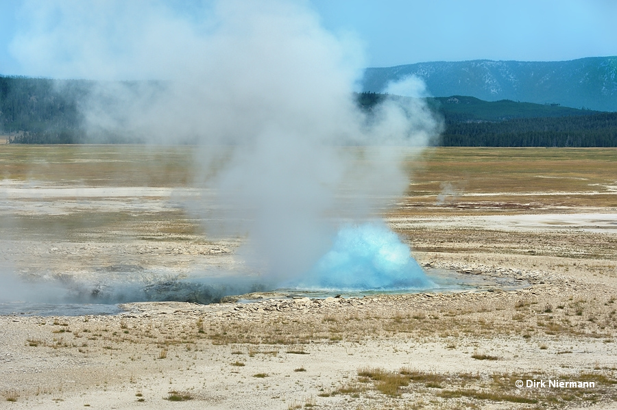 Morning's Thief Geyser Yellowstone