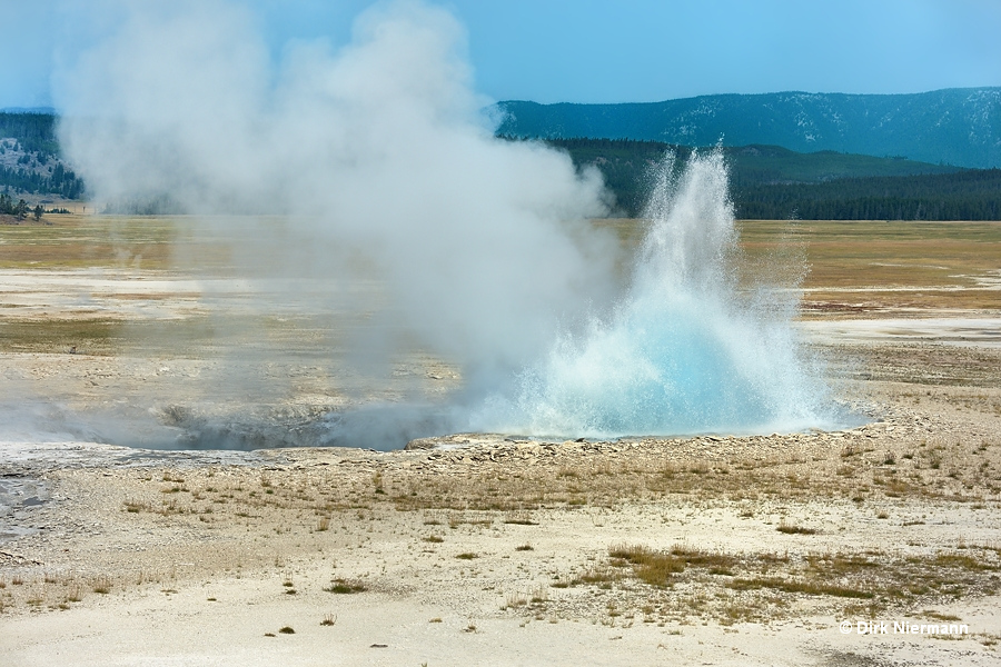 Morning's Thief Geyser Yellowstone