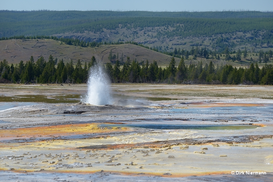 New Bellefontaine Geyser and Fitful Geyser Yellowstone