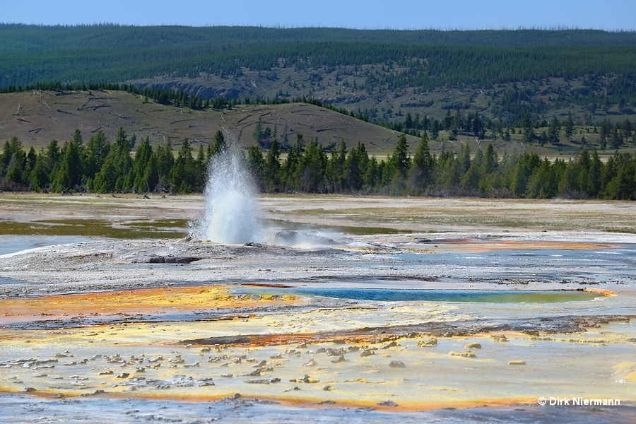 New Bellefontaine Geyser and Fitful Geyser Yellowstone