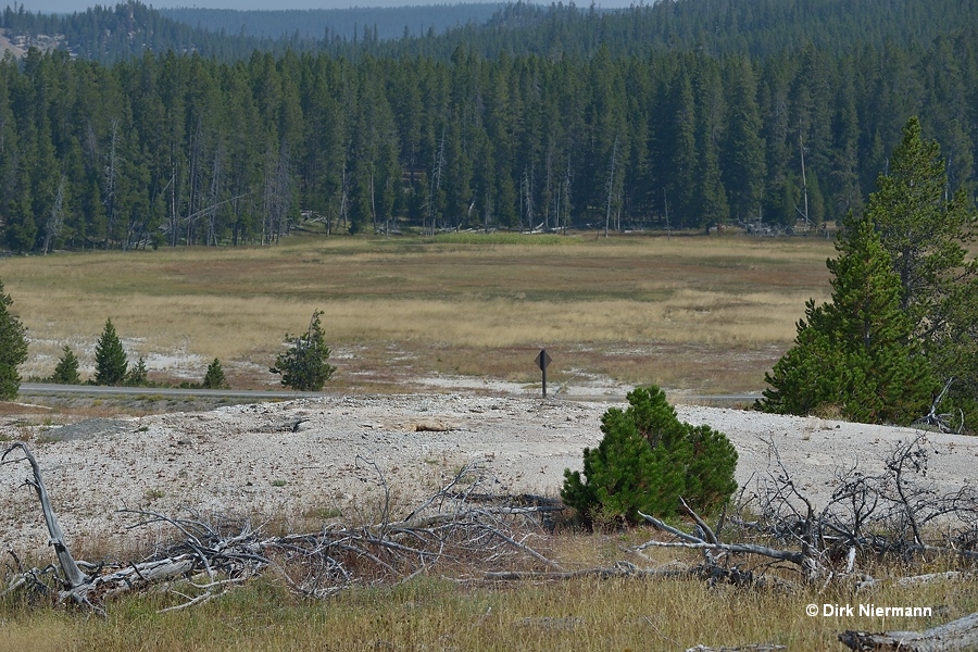 Old Cone Geyser Yellowstone