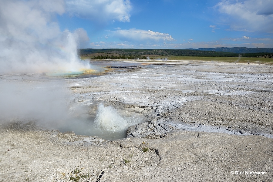 Spasm Geyser Yellowstone