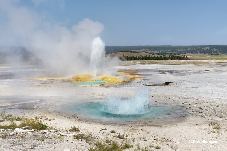 Spasm Geyser and Clepsydra Geyser Yellowstone