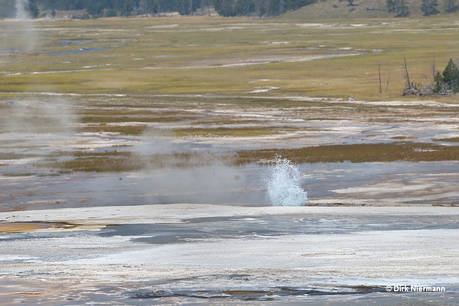 Stalactite Geyser Yellowstone