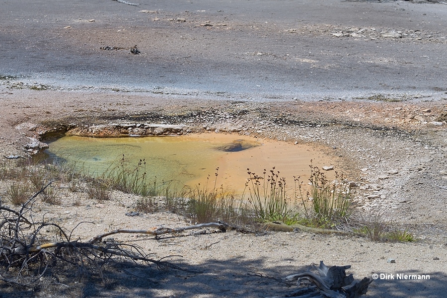 Hot spring GAPNN020, Artists' Paintpots Yellowstone