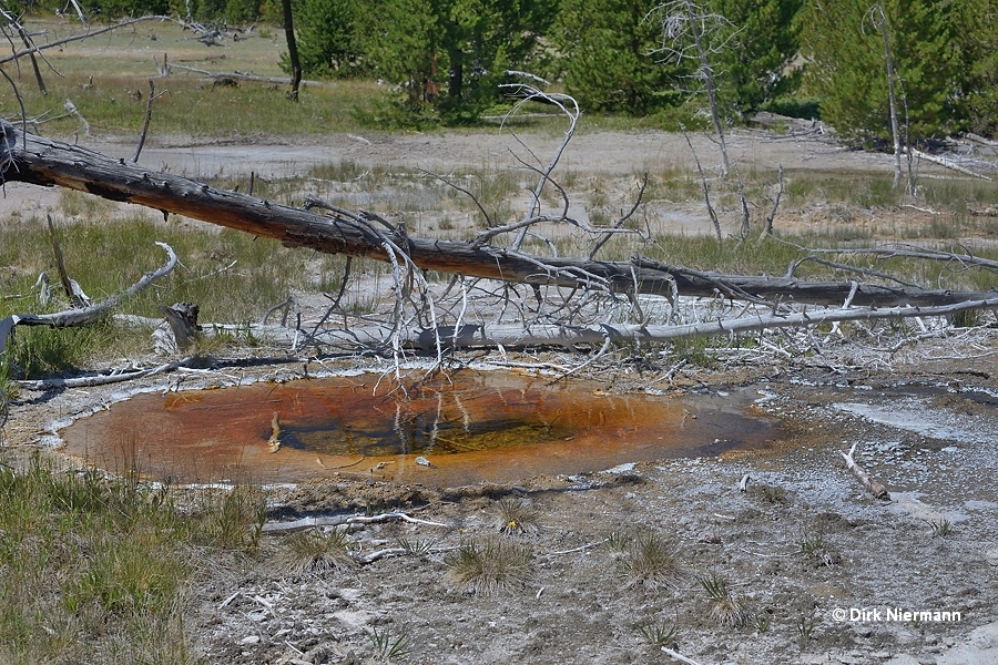 Hot spring GAPNN021, Artists' Paintpots Yellowstone