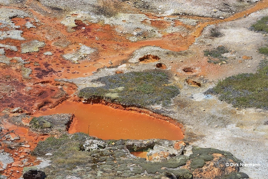 Hot spring GAPNN035 Artists' Paintpots Yellowstone