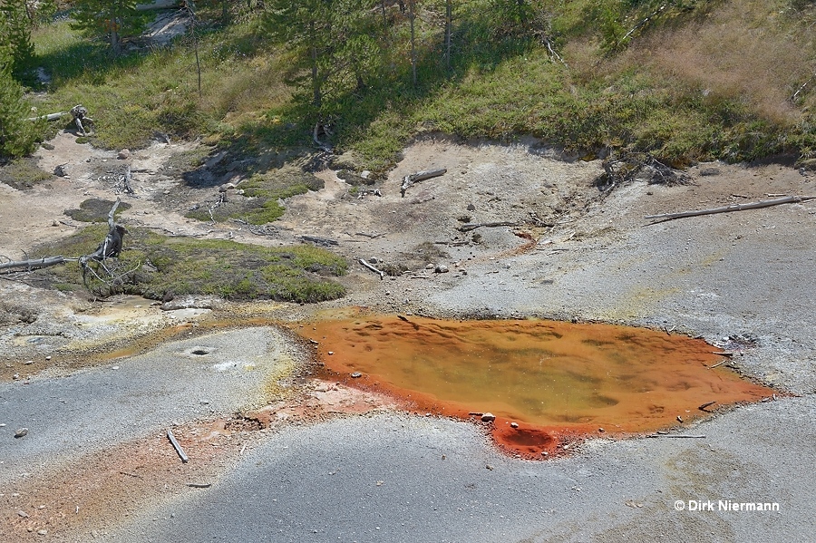 Hot spring GAPNN058, Artists' Paintpots Yellowstone