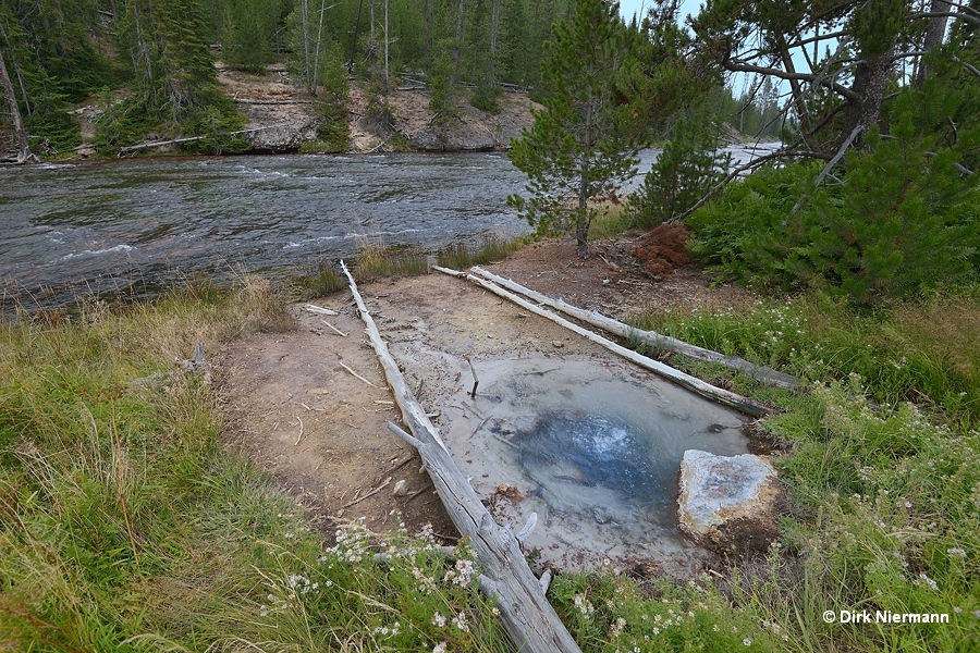 Hot Spring GGCGNN010 UNNG-GIB-15 Yellowstone