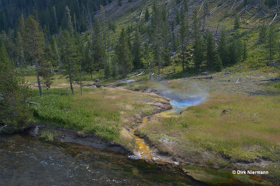 Hot Spring GGCGNN055 Yellowstone