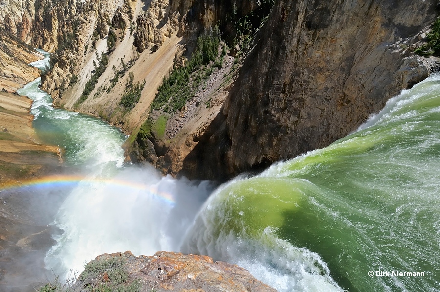 Lower Falls Yellowstone