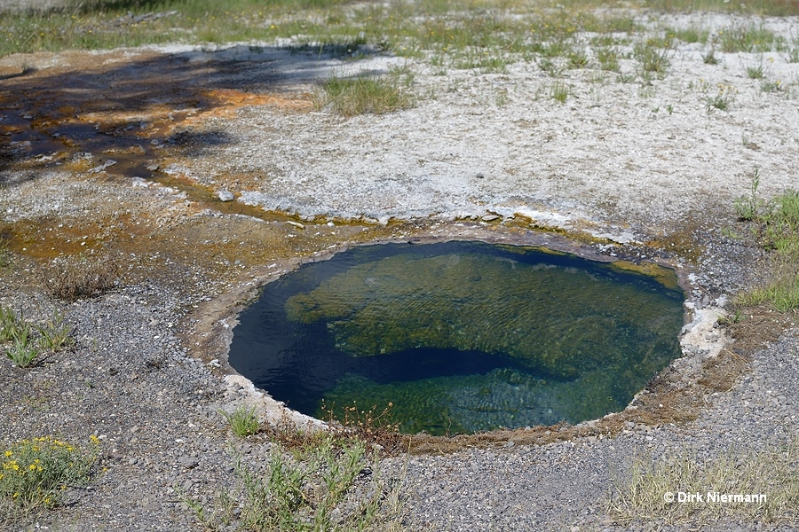 Broken Egg Spring Yellowstone