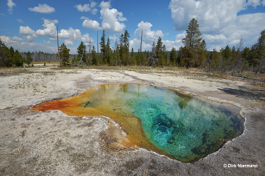 Lemon Spring Yellowstone