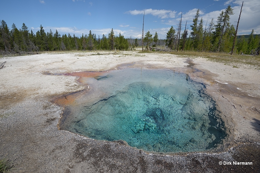 Lemon Spring Yellowstone