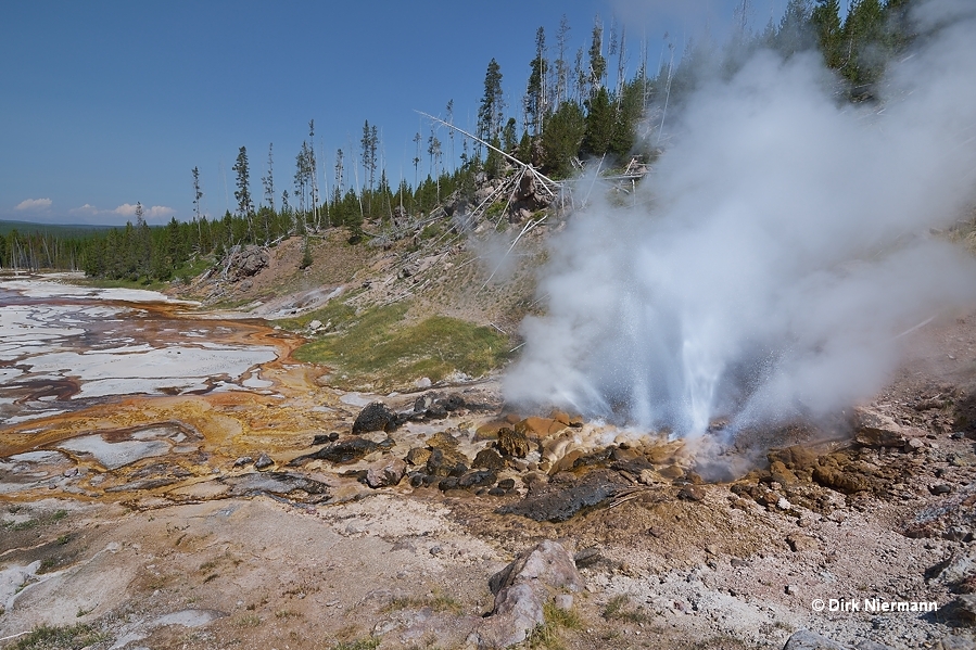 Avalanche Geyser Yellowstone