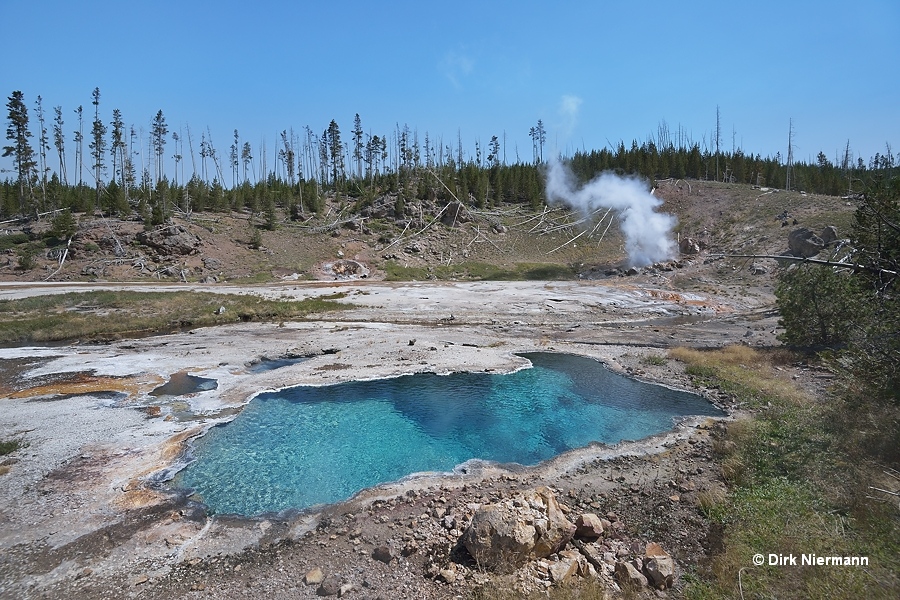 Bone Pool Yellowstone