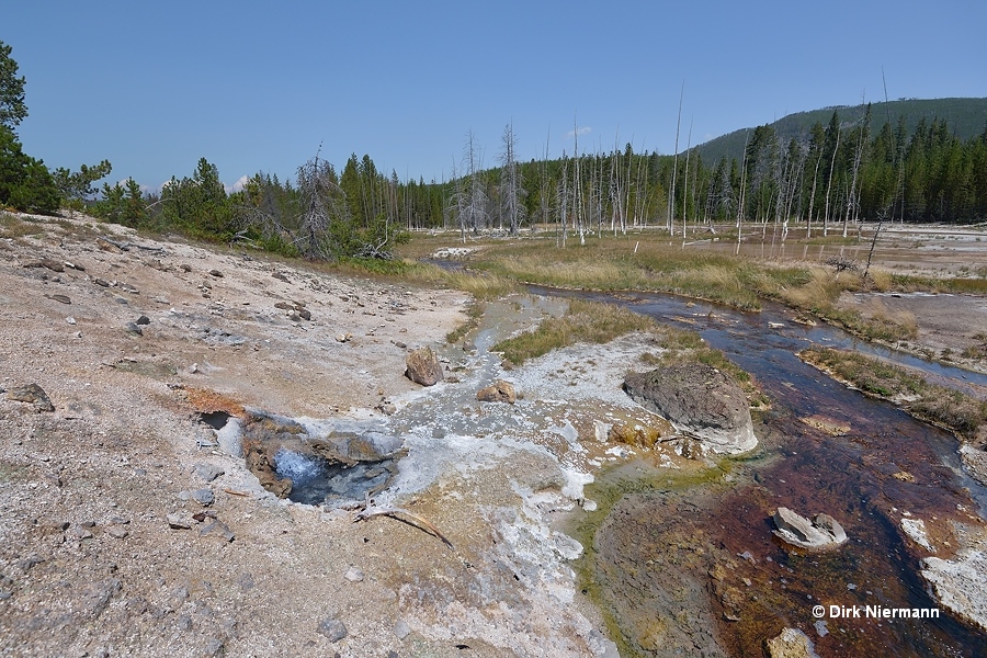 Geyser Springs Spouter Yellowstone