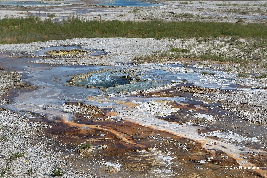 Beach Geyser Yellowstone