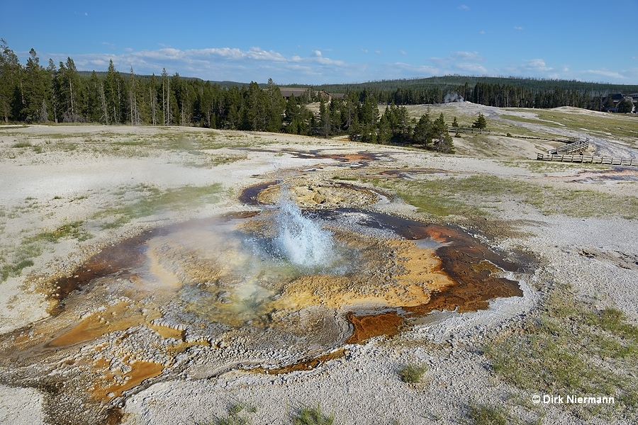 Big Anemone Geyser Yellowstone