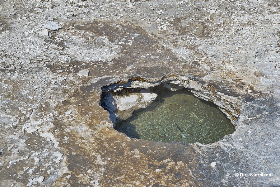 Copper Kettle Yellowstone