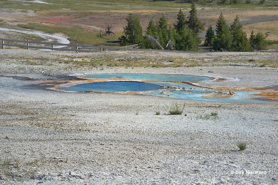 Dragon Geyser Yellowstone