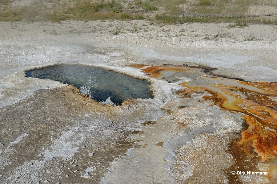 Ear Spring Yellowstone