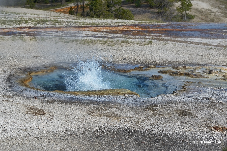 Improbable Geyser Yellowstone