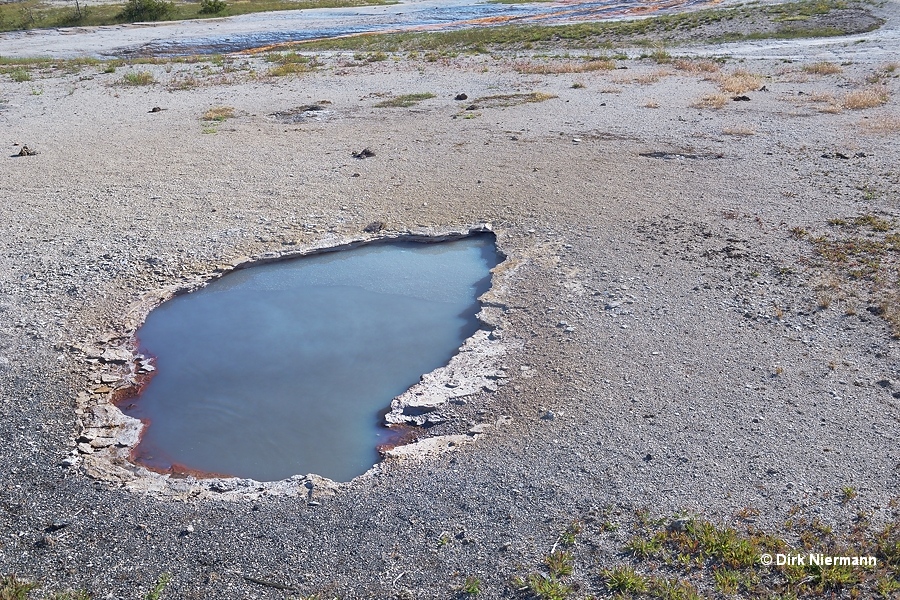 Infant Geyser Yellowstone